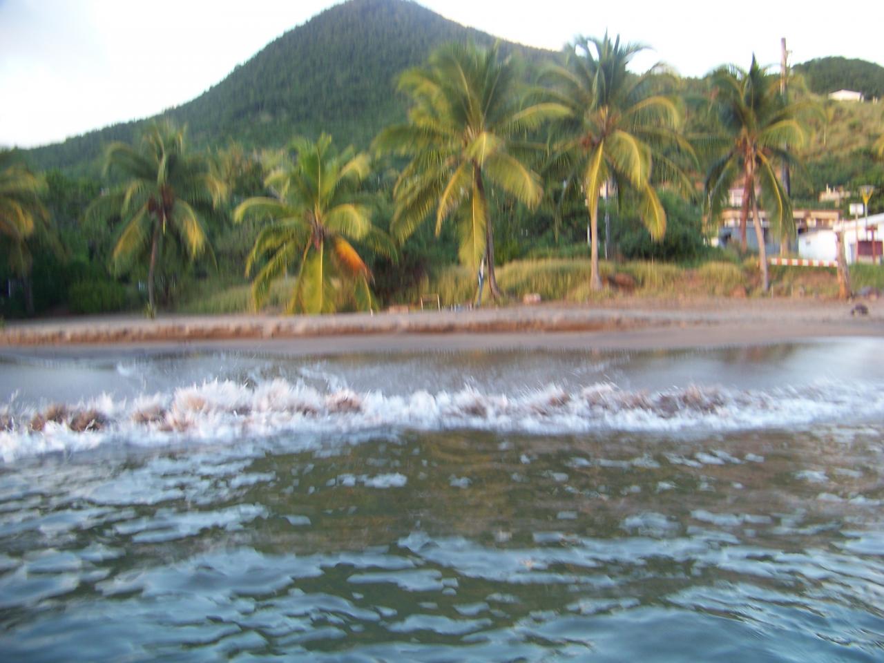 plage de petite anse avec paire de cocotiers pour accrocher le hamac