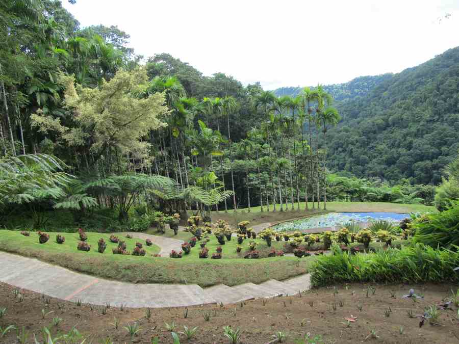 Le jardin de Balata